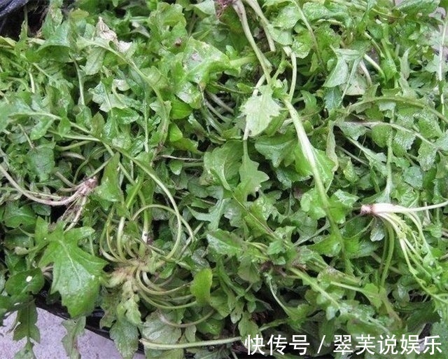 蕨菜|农村人吃到不想吃的这几种菜,城里人根本买不到,尤其是最后一种