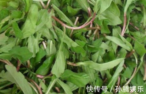 野菜|女性常吃此野菜,杀菌抗炎,妇科病减少了,排毒养颜,越来越漂亮