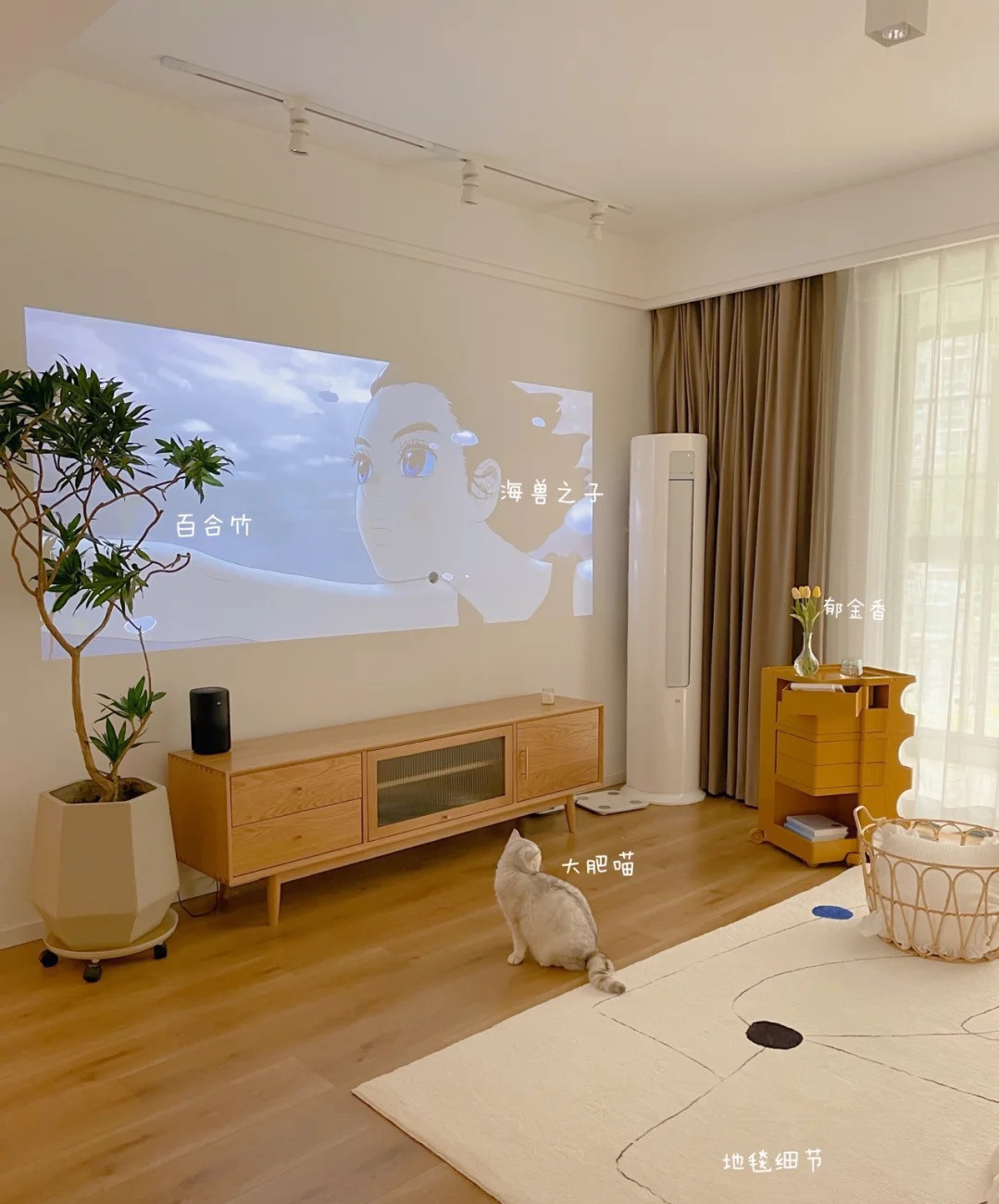 客厅|再买房,就照她家这样装,全屋大白墙、无主灯,干净利落,好舒服