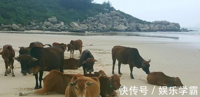 朱元璋$3首幽默风趣的古代诗词,经历时间长河的洗刷,依然风采动人