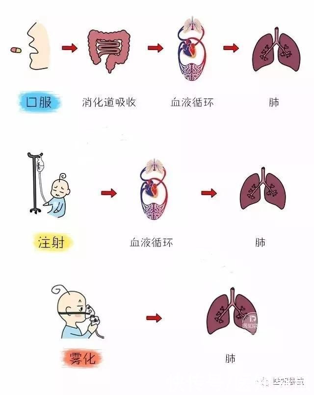 宝宝|肺炎高发期，13价肺炎疫苗给宝宝约了吗？