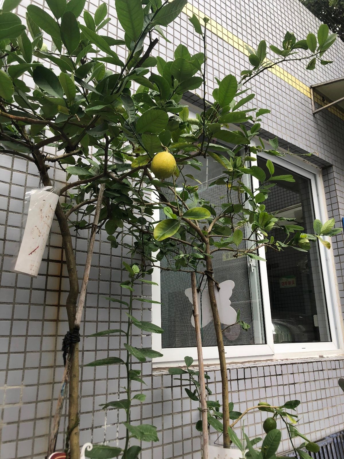 秋意|久顺 秋意正浓，我们正在与秋天同行