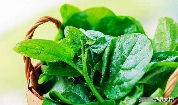 茄子|怀孕后，孕妇尽量“远离”这3种蔬菜，宝宝或许“感谢”你