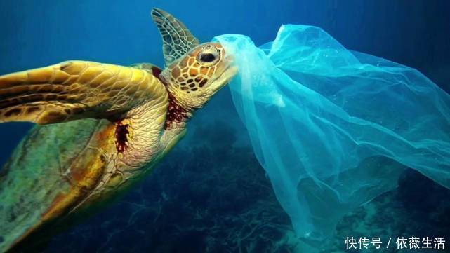 海底 究竟是怎么回事中国从3900米海底传回一组照片,给世界敲响警钟