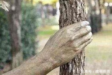 孤独|世界上最“孤独”的手,紧握树干半个世纪从未松开,原因让人感叹