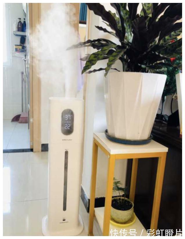 家居用品|这7件家居用品堪称“神器”,若没用过两件,可能生活在10年前!