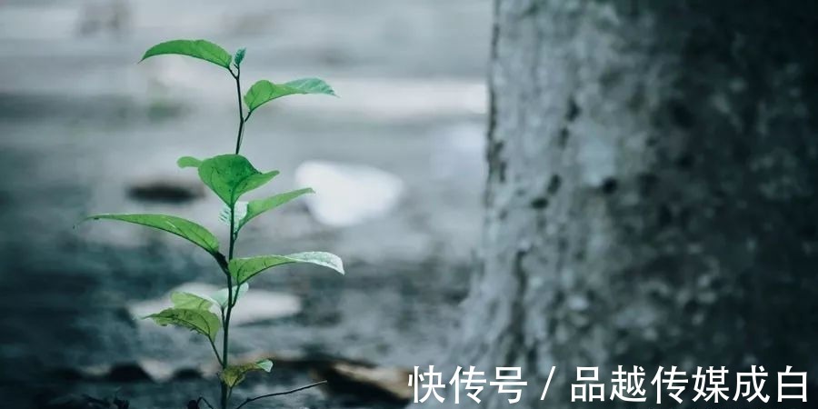 重情重义|一个小小的细节，会暴露了最真实的人