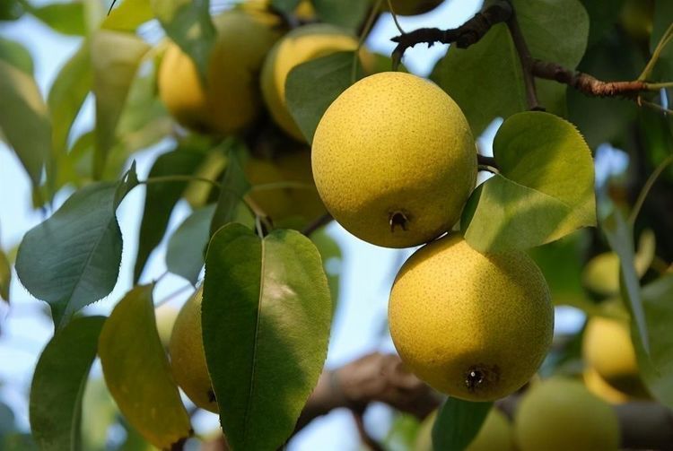 肾益精|超市很常见的3种食物，要学会吃一些，补充营养、有益健康！