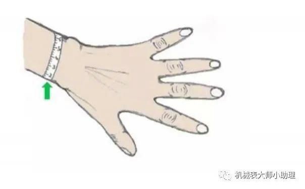 机械表大师：最适合中国人佩戴的手表尺寸，你的表尺寸合适吗？