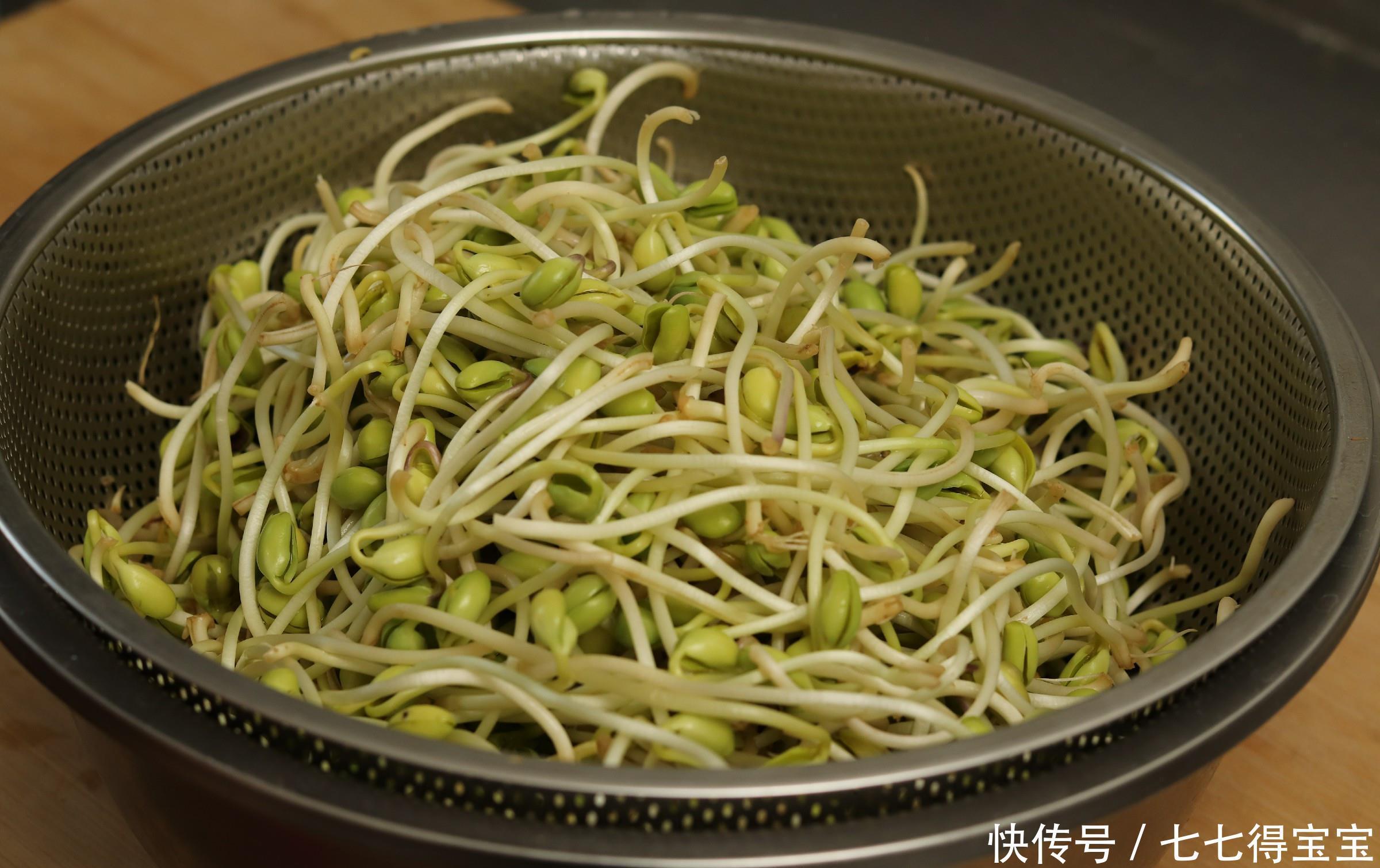 在家发豆芽的秘方,老妈用了半辈子,营养脆嫩又卫生,5天就能吃