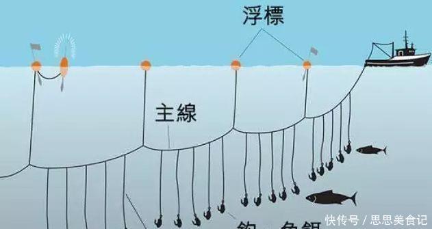 解读长江禁钓令：一人一竿一钩的垂钓方式，进入有法可依的时代