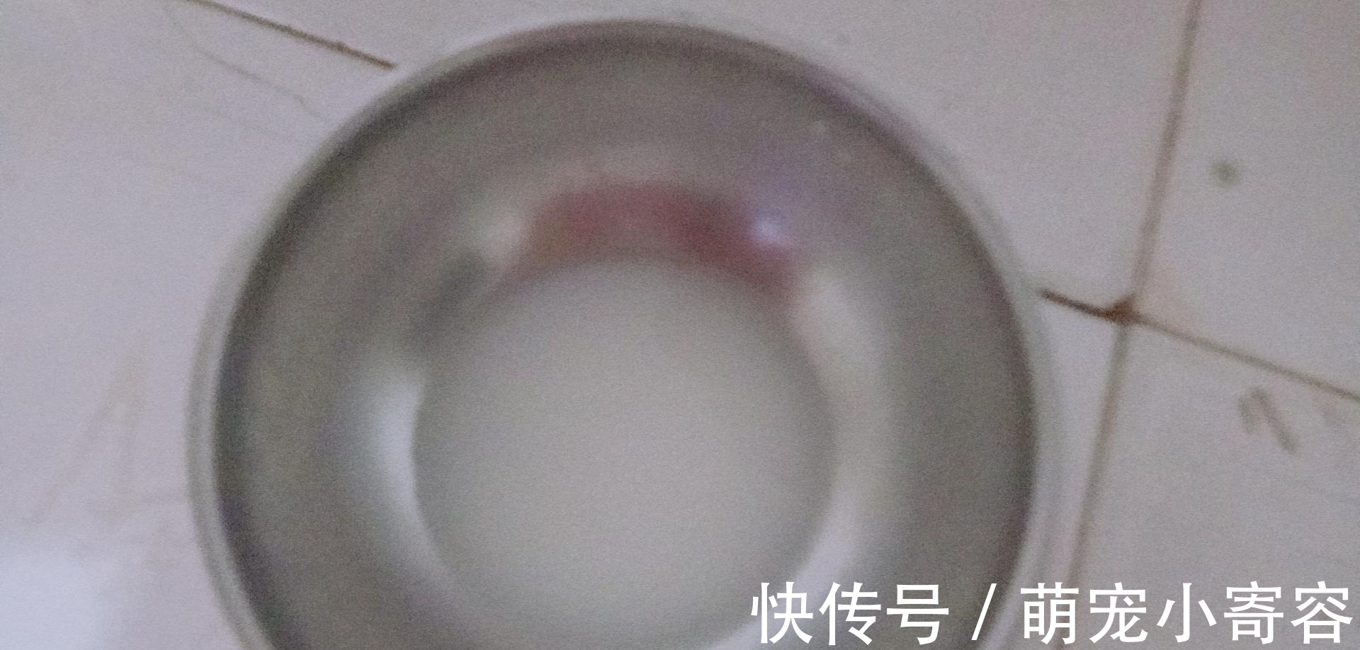 含有|它含有卵磷脂,可有效防止血管硬化,要预防心血管疾病,就吃它!