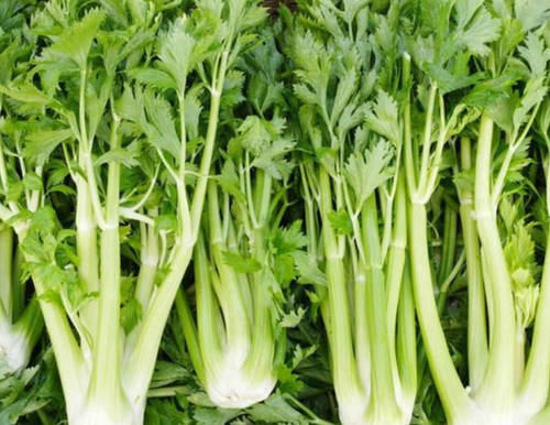 营养物质|高血压不能碰“洋葱”？提醒：想要血压平稳，5种食物可以经常吃