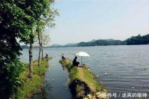 钓鱼|春天来了，大鲫鱼喜欢藏在这些位置，这些地方下竿一钓一个准！