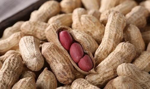 高脂蛋白血症|生花生和熟花生，哪个更营养？医生：5类人最好少碰，别不当回事