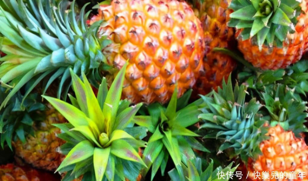 适合冬天吃的3种食物，补充营养、延缓衰老，身
