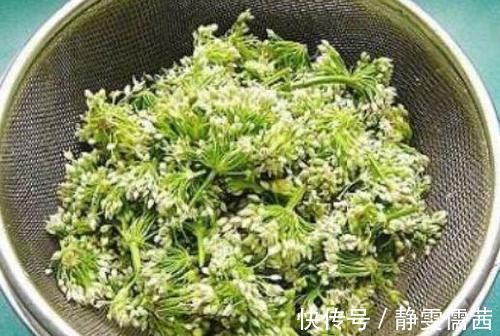 延缓衰老|人到中年想长寿,适合常吃3物,补益气血,延缓衰老,睡的好