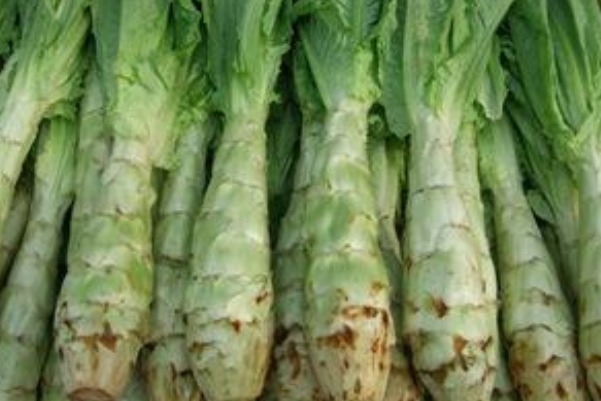 花椰菜|有三种蔬菜寄生虫最多,大多数人还在吃,你中招了吗