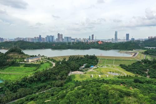 鹏城风光杂集，海与大学