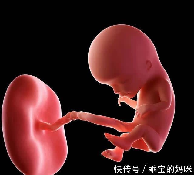 聪明宝宝有4个表现，多触摸3个“智力部位”，后天提高宝宝智力