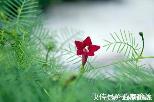 生活质量|家有男人属此生肖,对老婆非常大方,言听计从,处处为老婆着想