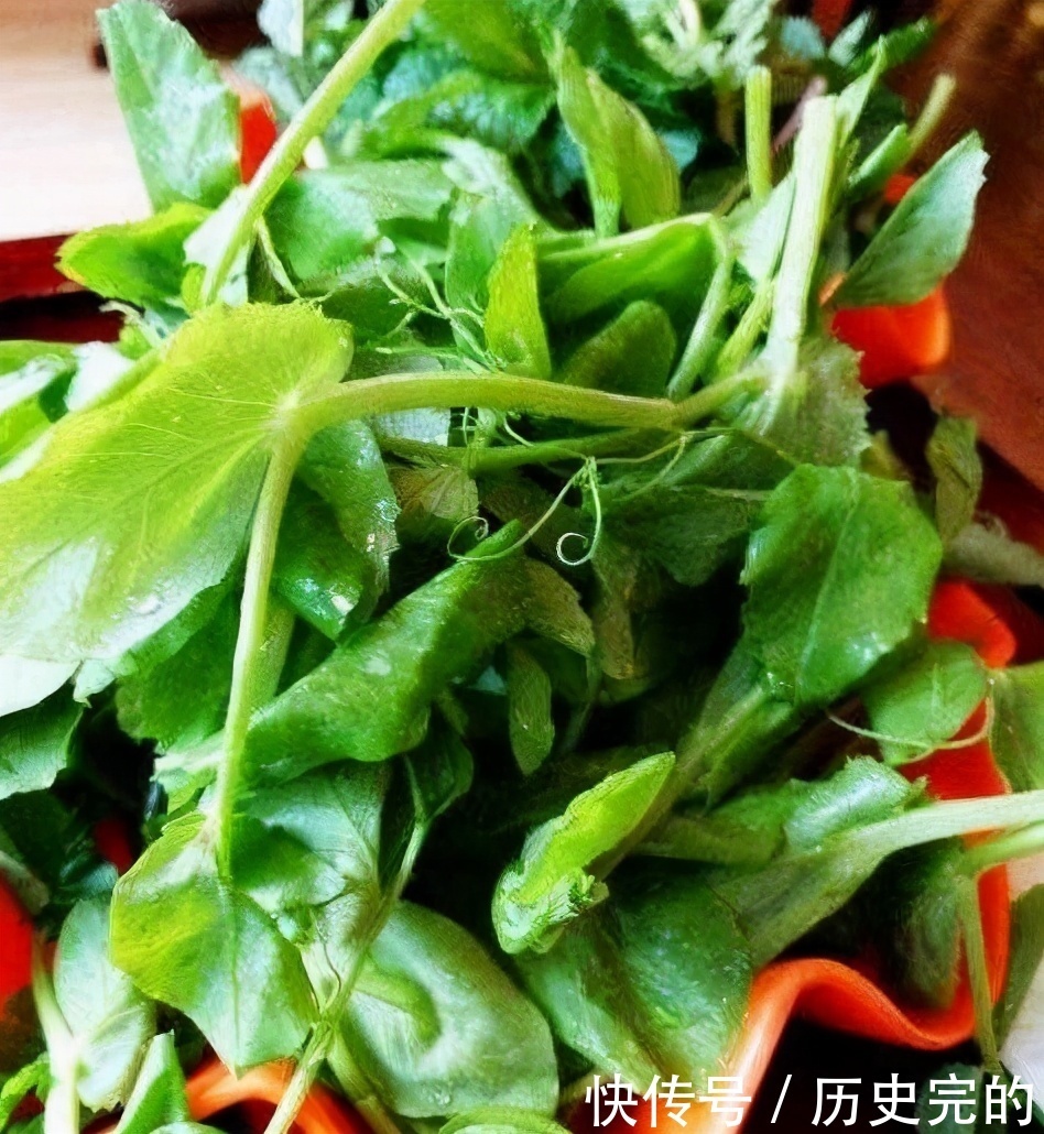 食物|身體差的人要會吃,常吃幾種食物,預防炎癥、提高免疫力,氣色好