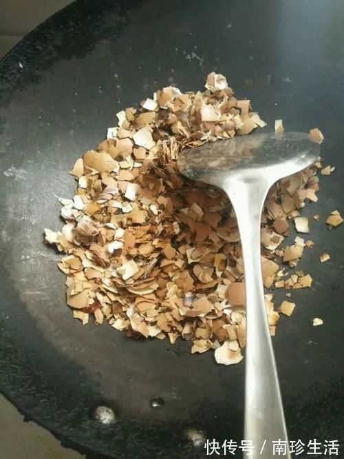 陈芝麻|5种粉末效果惊人,老花匠都爱用,撒盆里不黄叶,狂开花!