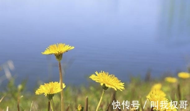 责任感|4天后，桃花结果，回去寻找，及时止损，点燃爱情，旧爱回归