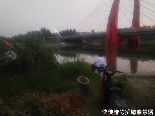 钓大板鲫|昨天第31天夜钓,偶遇一位奇葩钓友,结果12点前几乎没口