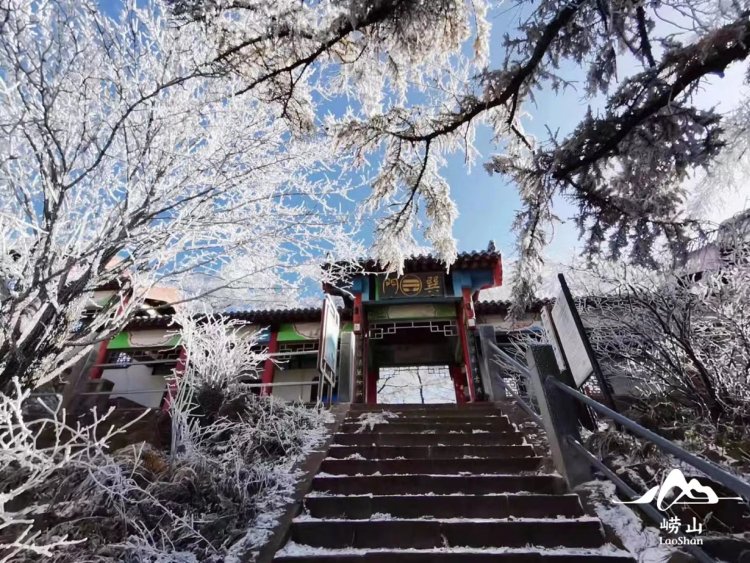 第一场雪|首秀大片来袭！崂山，下雪啦