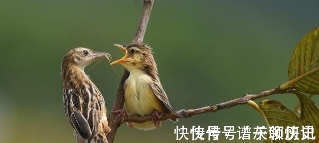 劝君莫！爱管闲事的白居易一怒写下这首诗，最后一句至今仍常被贴在公园里