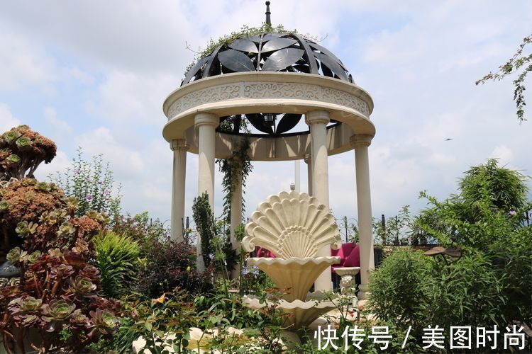 花草|历时一年，在31楼打造300㎡“屋顶花园”，如今美成了仙境