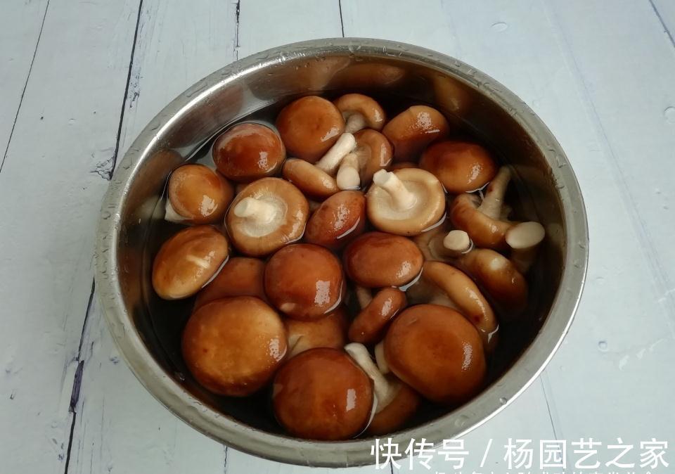 肉末|秋天,韭菜萝卜靠边站,此菜要多吃,营养极高,用来包饺子超级鲜
