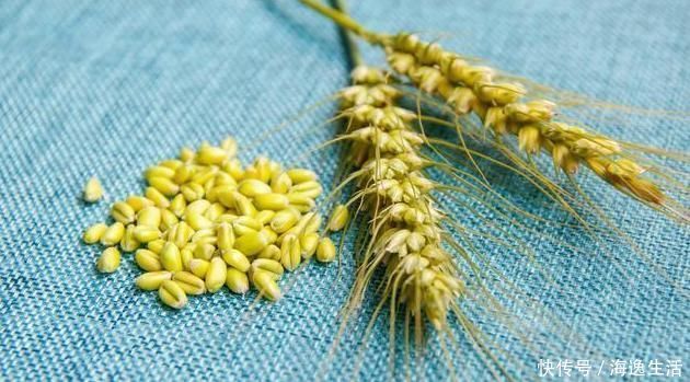 中年|一味不被人熟知的良药,李时珍却说它善于“补气除热、敛汗止汗”