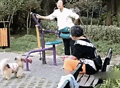 |搞笑GIF:美女,看你们俩的笑容,我就知道有人要倒霉了!