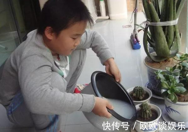 茶叶水、淘米水,多做1步浇花,肥效超高,养花特好