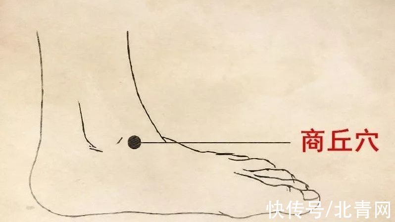 本草纲目|1/6的癌症都是炎症引起的!4类“促炎”饮食,让身体炎症越来越高发!别再吃错了