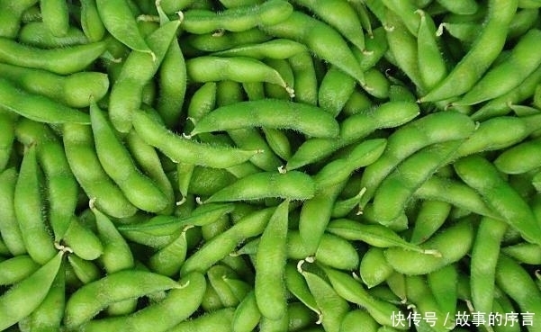 抗衰老|要想长得美,也要想得美,“蔬菜三宝”补血养颜抗衰老