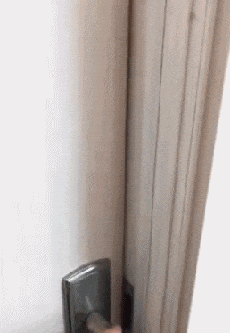 |笑话:一家4口聚一块打麻将,警察赶到,把5人全抓了