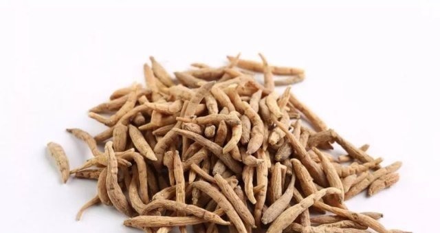 肺癌|劝告大家有一味中药健脾润肺,调理失眠,杀菌消炎,清肺化痰预防肺癌