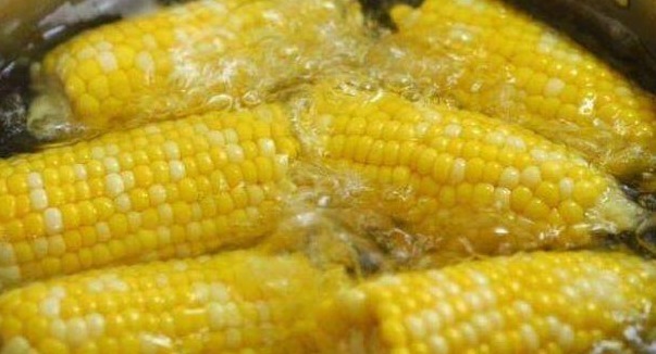 煮玉米,别只会用清水煮!学会这3个窍门,玉米软嫩清甜特好吃!