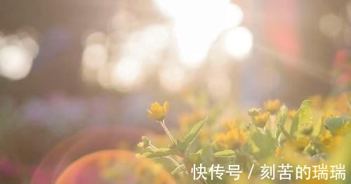 家长|我潜伏进五年级孩子的聊天群,聊的内容很社会,家长绝对想不到