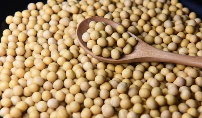 斑块|64岁老人分享经验:血管堵塞,吃4物,做3事,血管或慢慢通畅