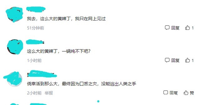 男子|郑州男子钓获“巨型黄辣丁”,1米多长,网友一锅炖不下!