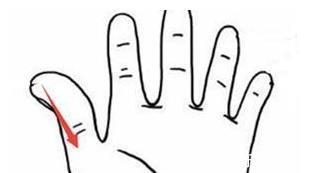 拇指|脾胃不好百病灾!1张表教你看明白,孩子脾胃出了什么问题?