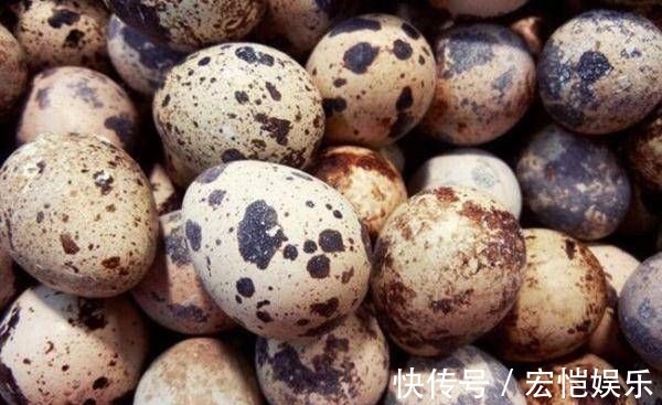 老刘|天然的儿童“补脑药”,常吃不仅让孩子更聪明,个子也能嗖嗖的长