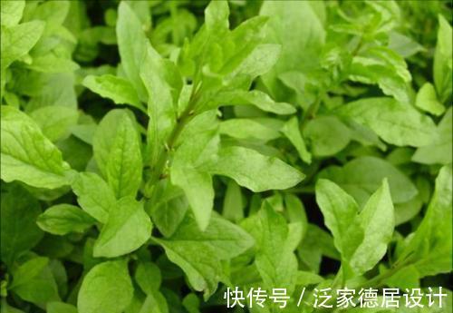 皮肤|女性想要皮肤好,推荐常吃3种食物,滋润肌肤、延缓衰老