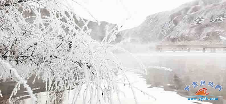 时节|肃南：大雪时节现雾凇冰花美景