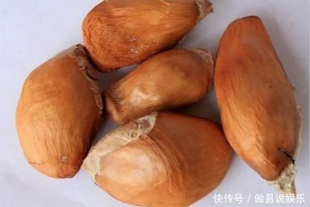 3种“果核”有用,别扔掉,直接埋在土壤里,“15天”生根发芽