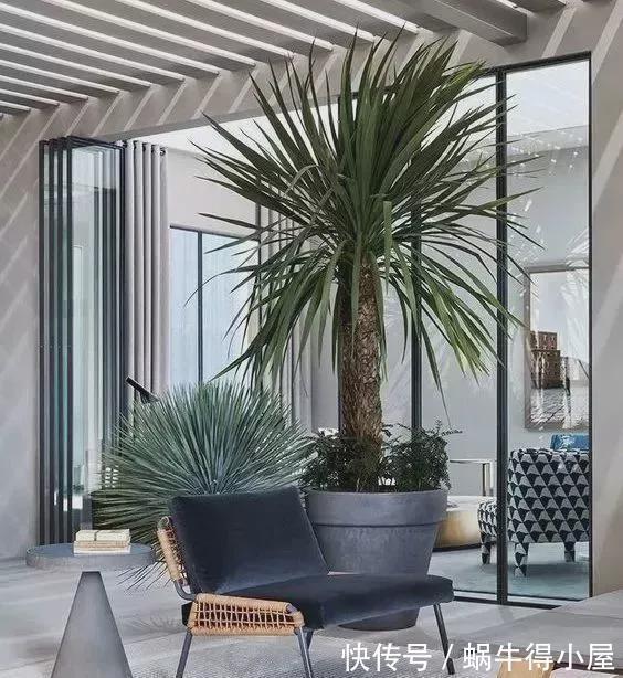 阳台|开放式阳台怎么设计?家里阳台这样装,瞬间提升逼格!